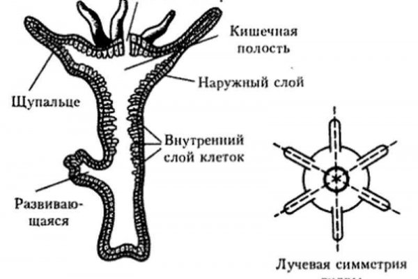 Заказать мефедрон