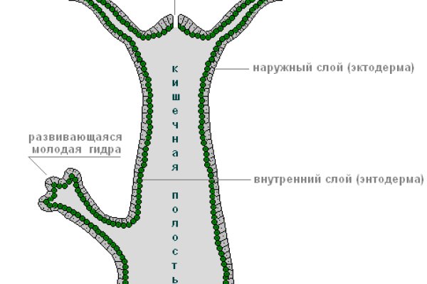 Кракен магазин ссылка